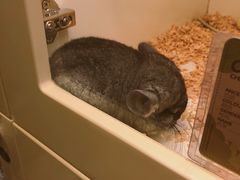 -龙猫仔乐园(惠福东路店)