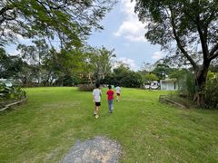 -芭厘·农庄老字号.电饭煲五指毛桃焗鸡