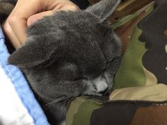 -惠康宠物医院(华能路店)