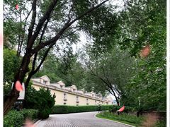 -北京张裕爱斐堡酒庄