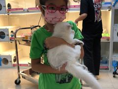 -lincat·猫舍(广州店)