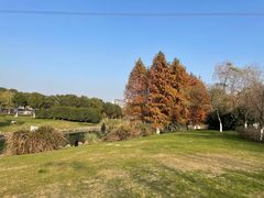 -九里河湿地公园