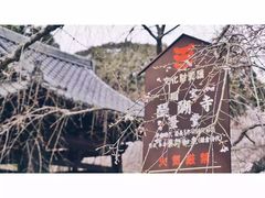 -醍醐寺