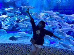 -成都浩海立方海洋公园