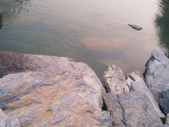 -黄花溪