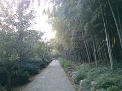 android_upload_pic-旺山景区