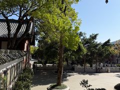 -东部华侨城