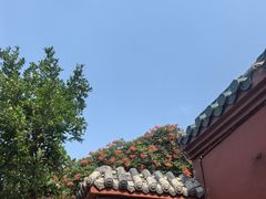 -延庆观