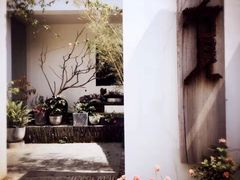 -雨花胜境