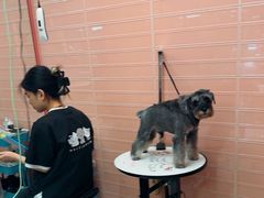 -FAELING PETS美天灵宠物(合生汇店)