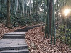 -西湖风景区十里琅珰-五云山