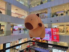 -凯德MALL(西直门店)