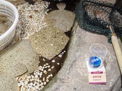-郑庄脂渣海鲜楼(九水路店)