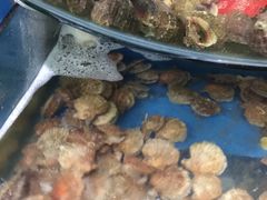 -晓伟海鲜家常菜