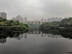 -重庆彩云湖湿地公园