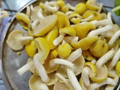 -钰洁腊排骨火锅