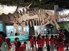 -国家自然博物馆