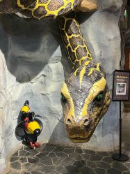 -Zoolung Zoolung动物主题公园(海信广场店)