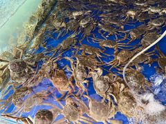 -阳澄湖大闸蟹·琼灵阁牌品牌连锁(吴中总店)