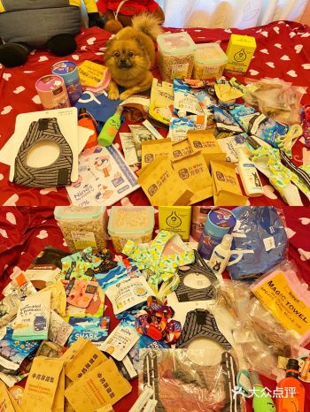 快乐分享｜300块钱买一大堆 宠博会薅羊毛