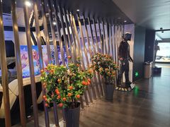 -SFC上影百联影城(八佰伴IMAX店)