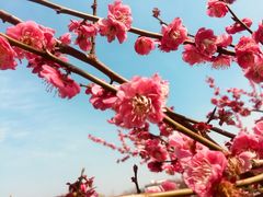 景点-白塘生态植物园