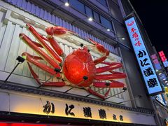 -蟹道乐(道顿堀本店)