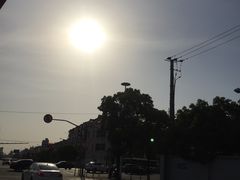 -中国石化北蔡加油站