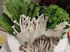 -九府羊鲜羊火锅·烧烤·小海鲜(华汇大厦店)