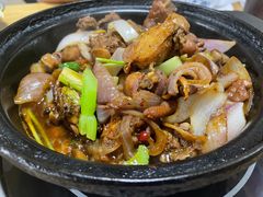 鸡公煲大煲-鸡公煲(南竹饭店)