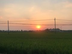 -小陆莲花蟹园农家乐(莲花岛店)