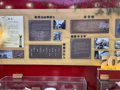 -江苏谢馥春国妆股份有限公司