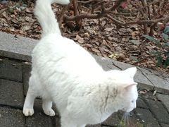 -苏州河梦清园环保主题公园