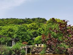 -灵岩山风景区