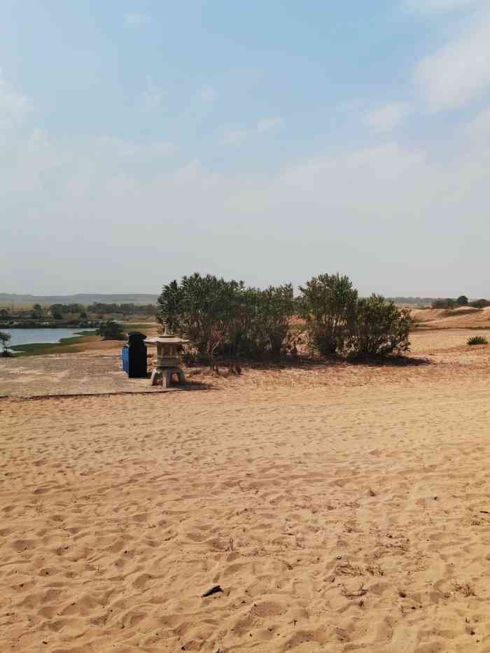 厚田沙漠生态旅游景区"春假年假打卡南昌风景区 厚田沙漠7715.