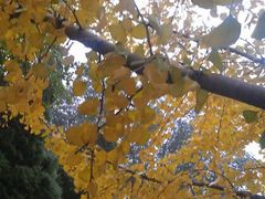 android_upload_pic-辽宁大学(崇山校区)