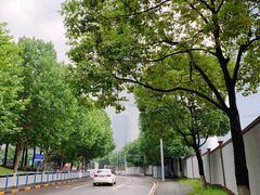 -重庆市江北嘴中央商务区中央公园