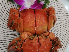 金陵熟醉蟹-馨方园食府·市井老南京菜