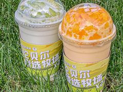 -茉酸奶(春熙路店)