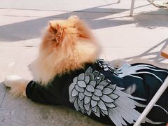 -隹木咖啡馆(宝龙广场店)