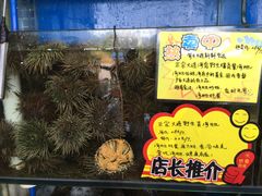 -蚝专家(北滘店)
