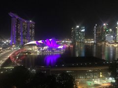 -新加坡丽思卡尔顿美年酒店