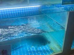 -肖记公安牛肉鱼杂馆· 省级非物质文化遗产(仁和路店)