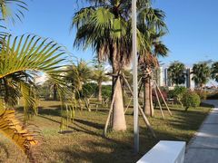 -北海金海湾红树林生态旅游区