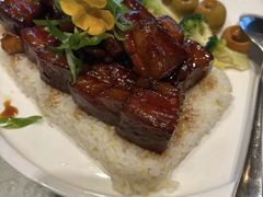 -海派美食·家宴海鲜青岛菜·石锅鲽鱼头(东方城店)
