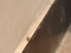 -华雅花园大酒店