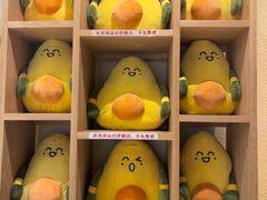 -油梨树AVOCADO TREE(嘉里中心店)