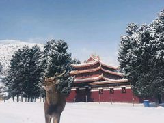 -达仓郎木寺院