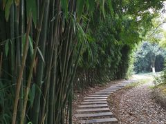 -堤角公园