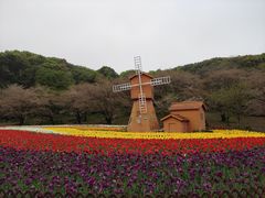 -苏州上方山国家森林公园